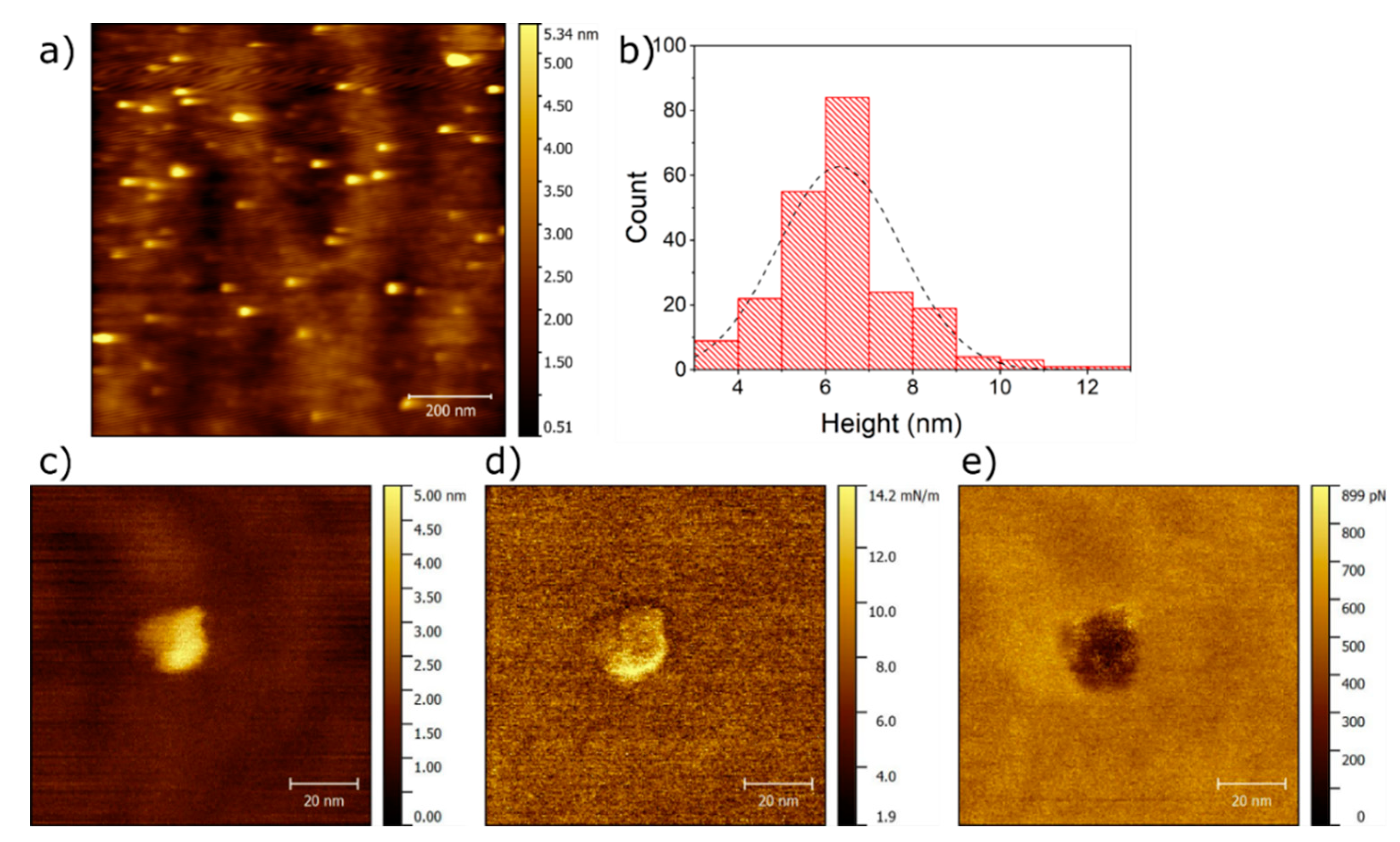 Materials 11 02574 g003
