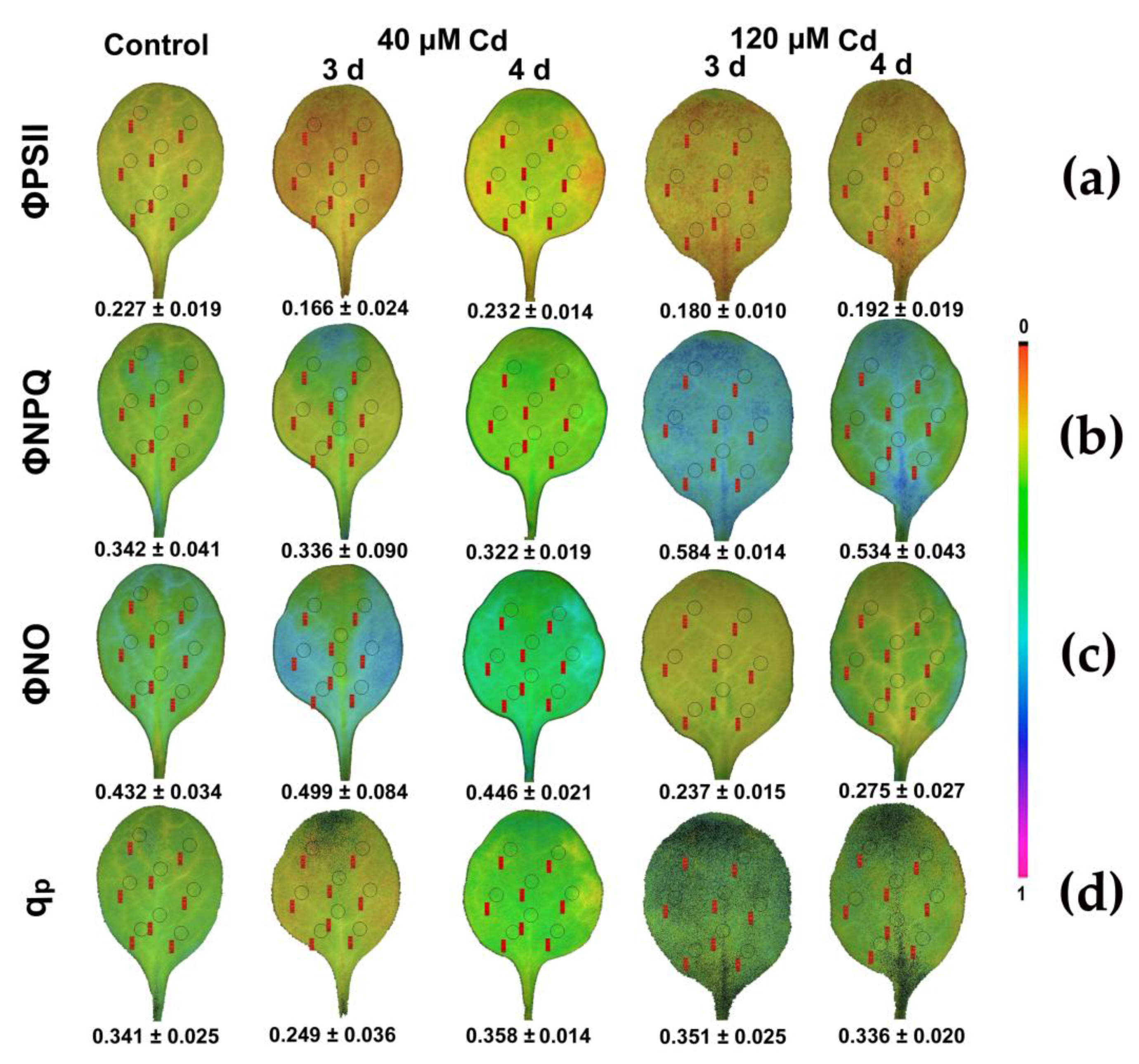Materials 11 02580 g009