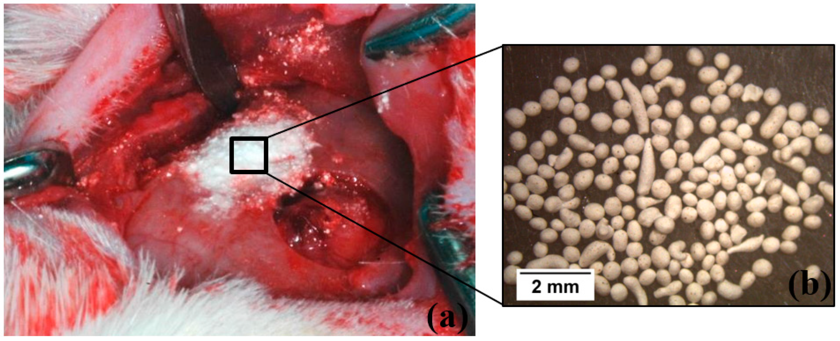 Materials 12 00004 g001