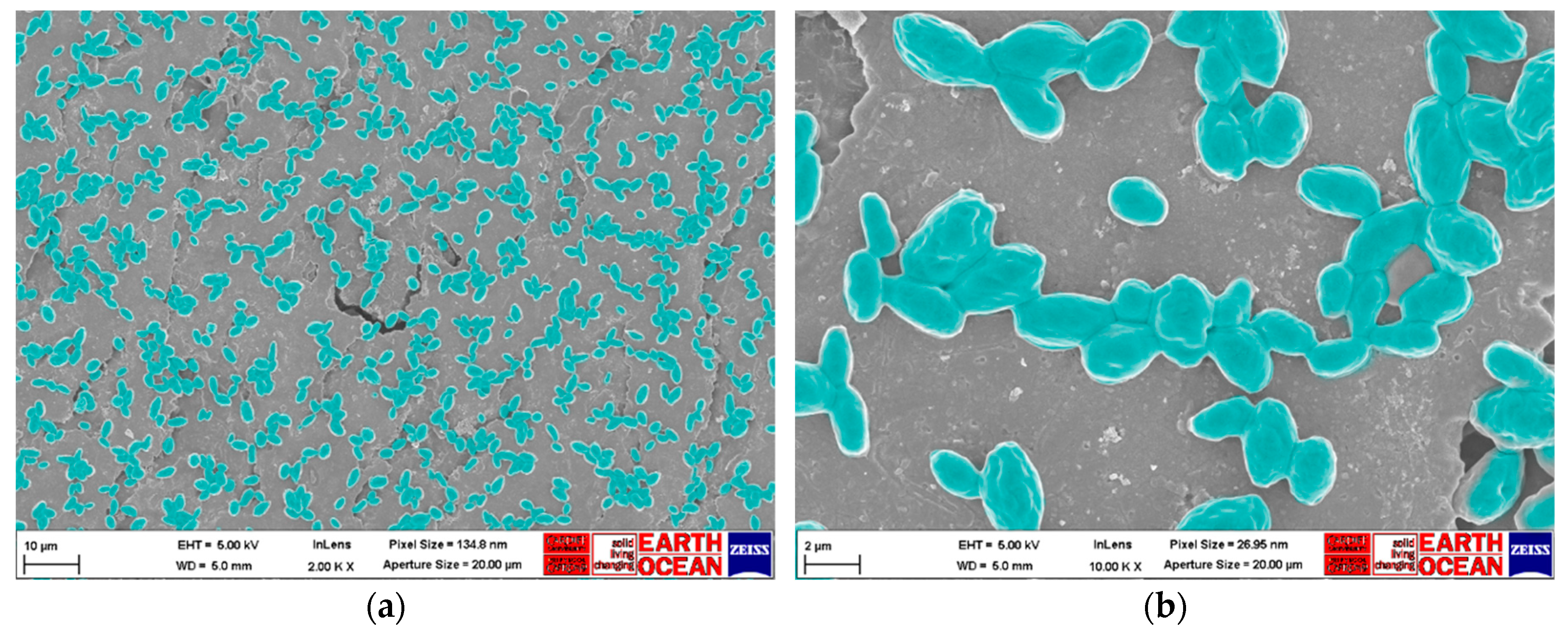 Materials 12 00018 g001