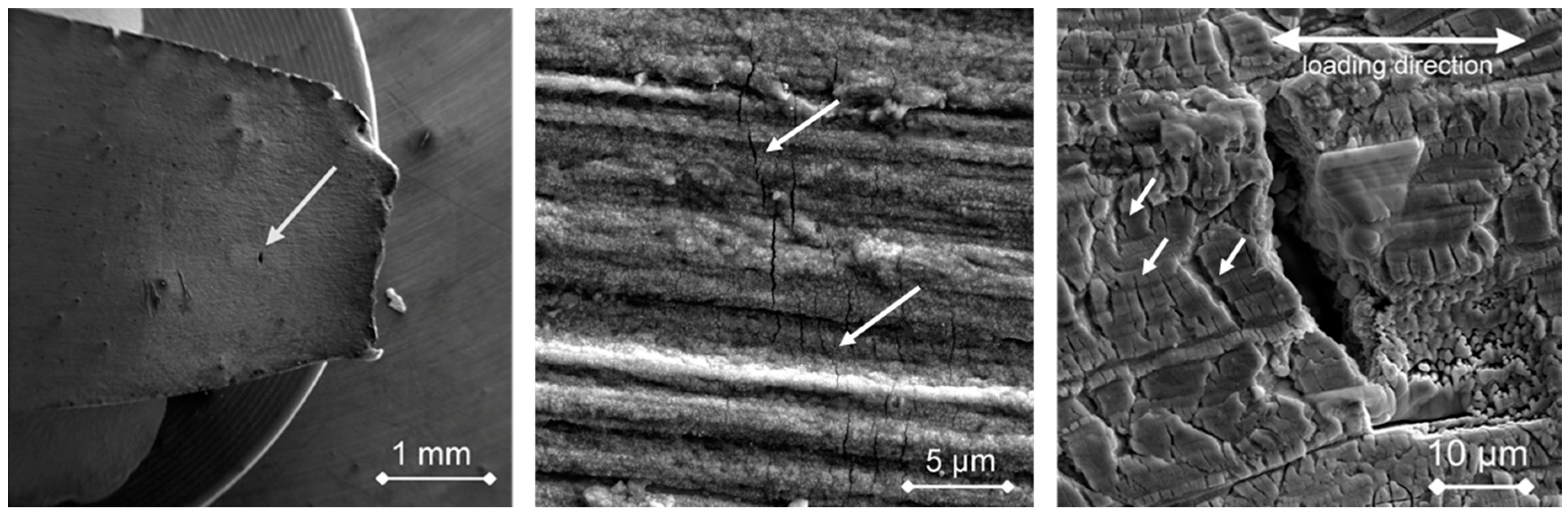 Materials 12 00038 g002