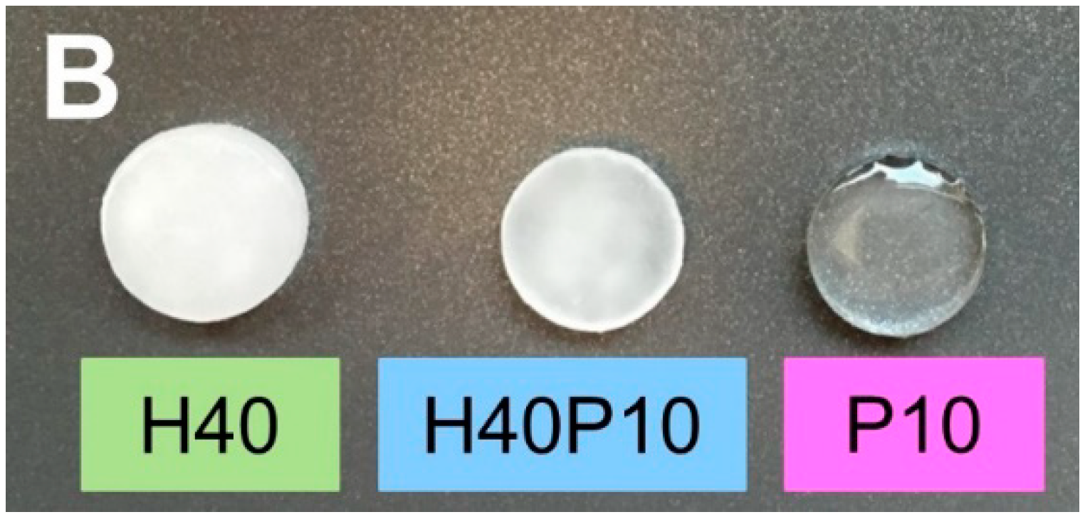 Materials 12 00053 g002b