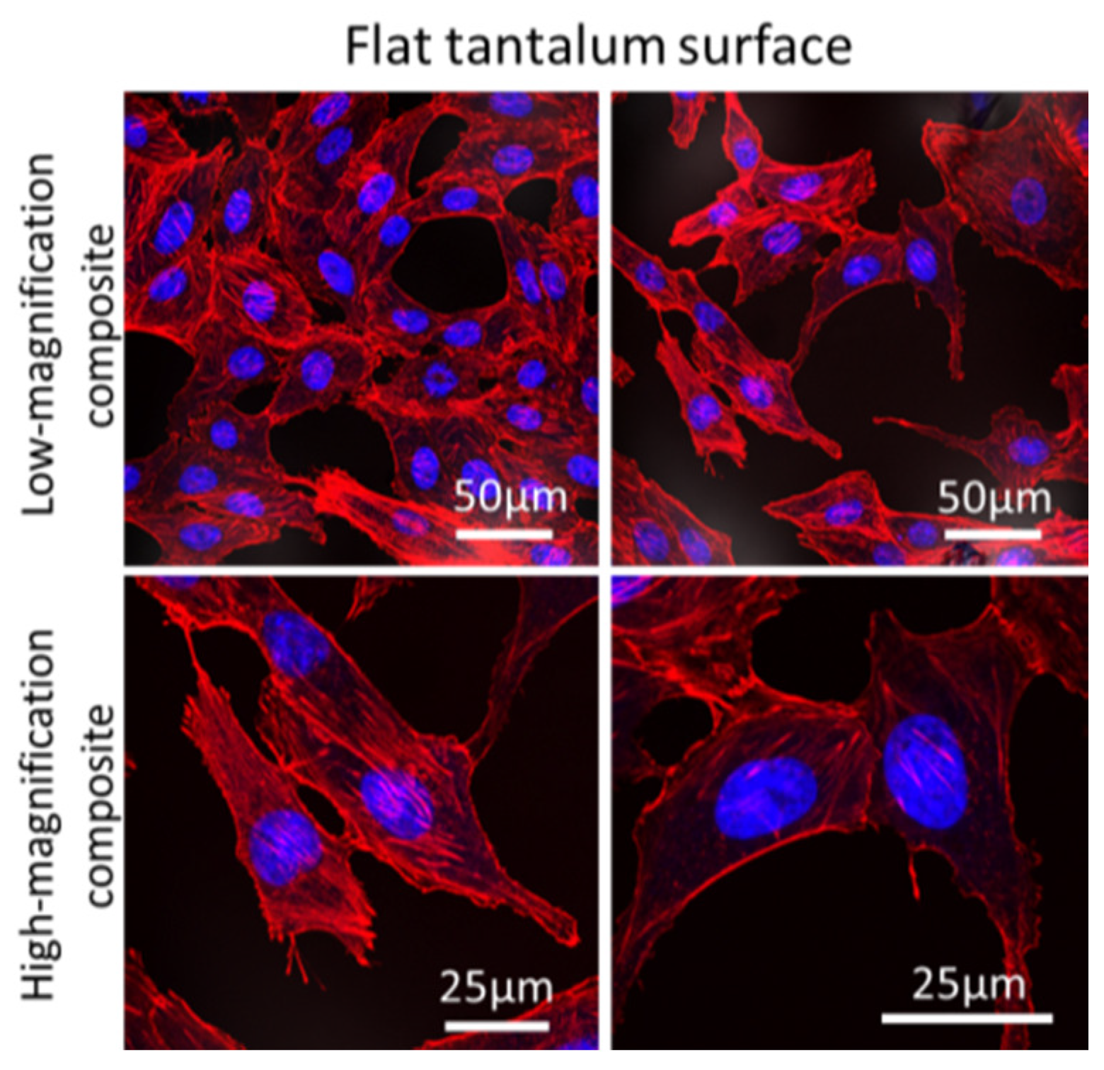 Materials 12 00114 g002 Materials 12 00114 g002