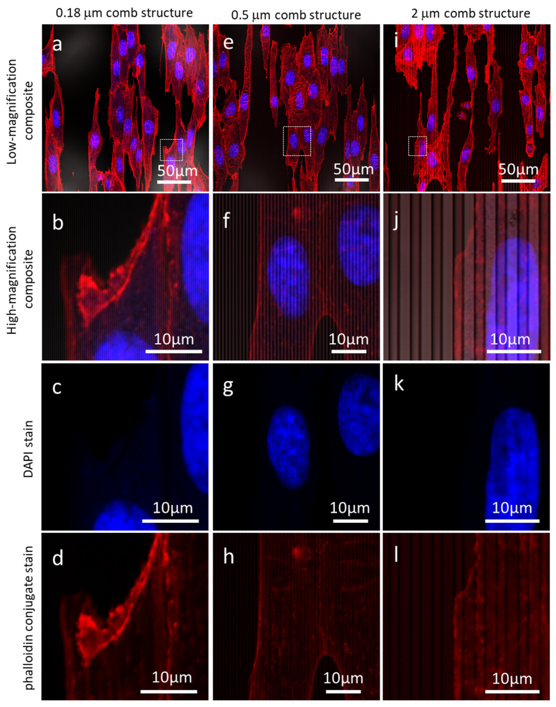 Materials 12 00114 g003 Materials 12 00114 g003