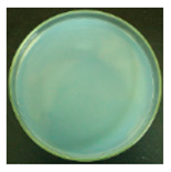 Materials 12 00127 i003