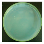 Materials 12 00127 i005