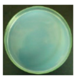 Materials 12 00127 i007