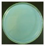 Materials 12 00127 i008