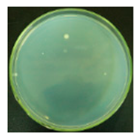 Materials 12 00127 i010