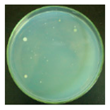 Materials 12 00127 i011