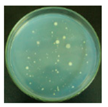 Materials 12 00127 i015