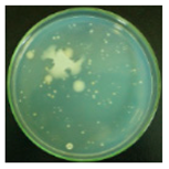 Materials 12 00127 i017