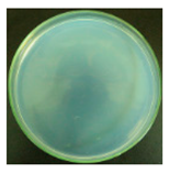 Materials 12 00127 i018