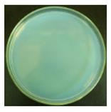 Materials 12 00127 i020