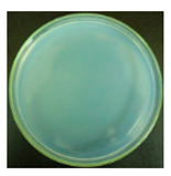 Materials 12 00127 i021