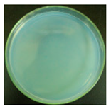 Materials 12 00127 i023