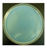 Materials 12 00127 i025