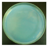 Materials 12 00127 i027