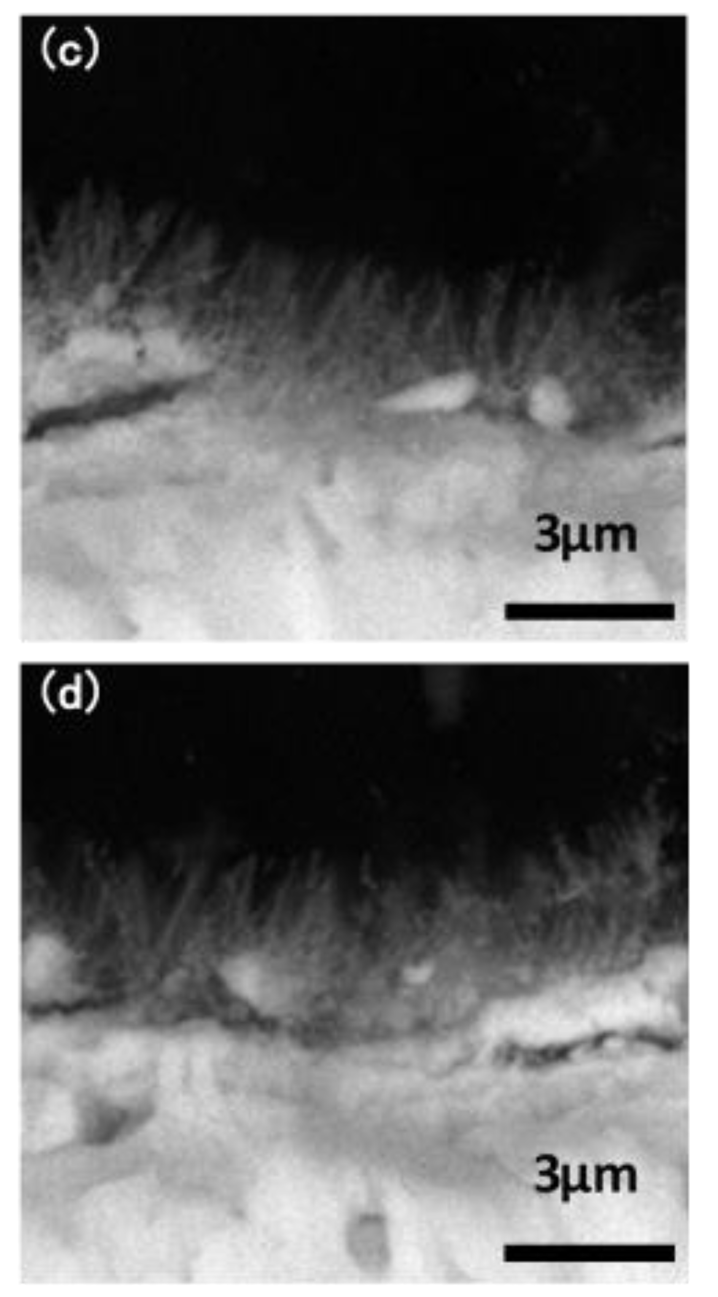 Materials 12 00134 g002b Materials 12 00134 g002b