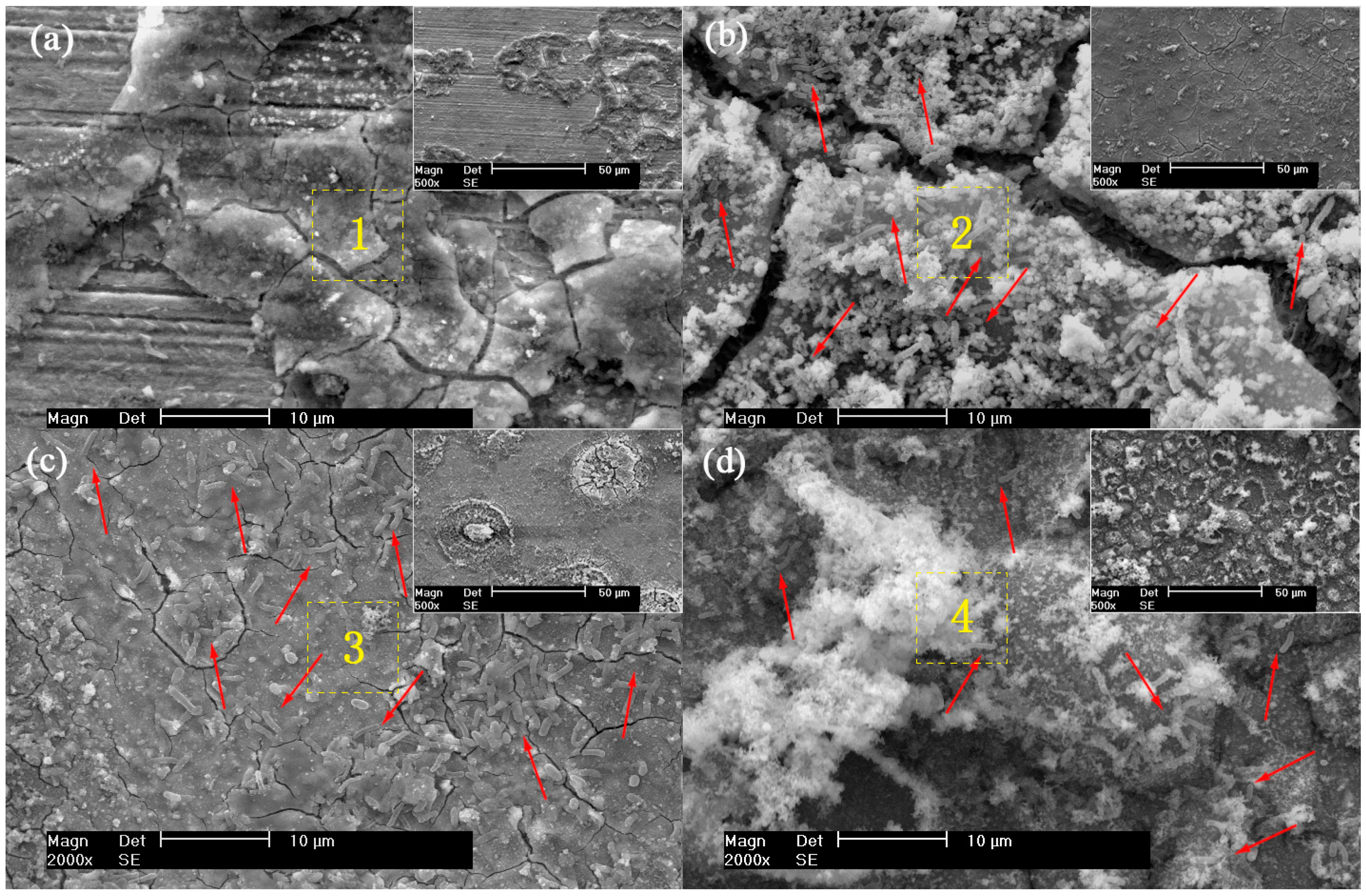 Materials 12 00144 g003