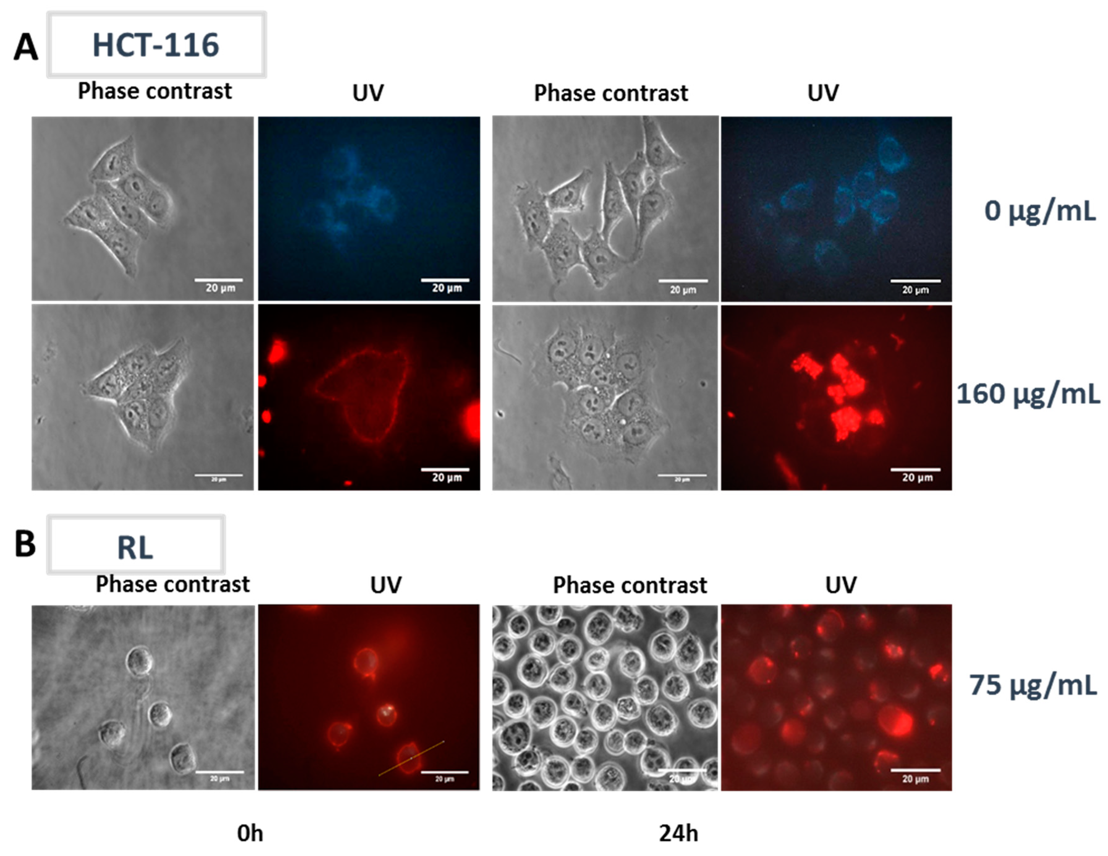 Materials 12 00179 g003