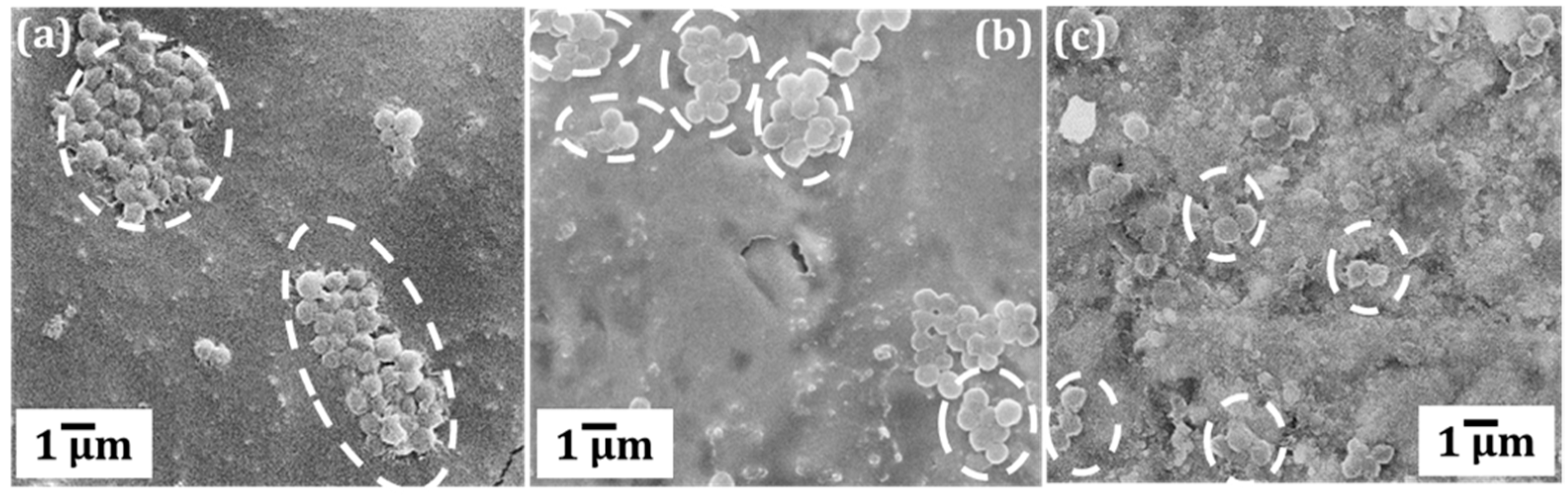 Materials 12 00200 g004