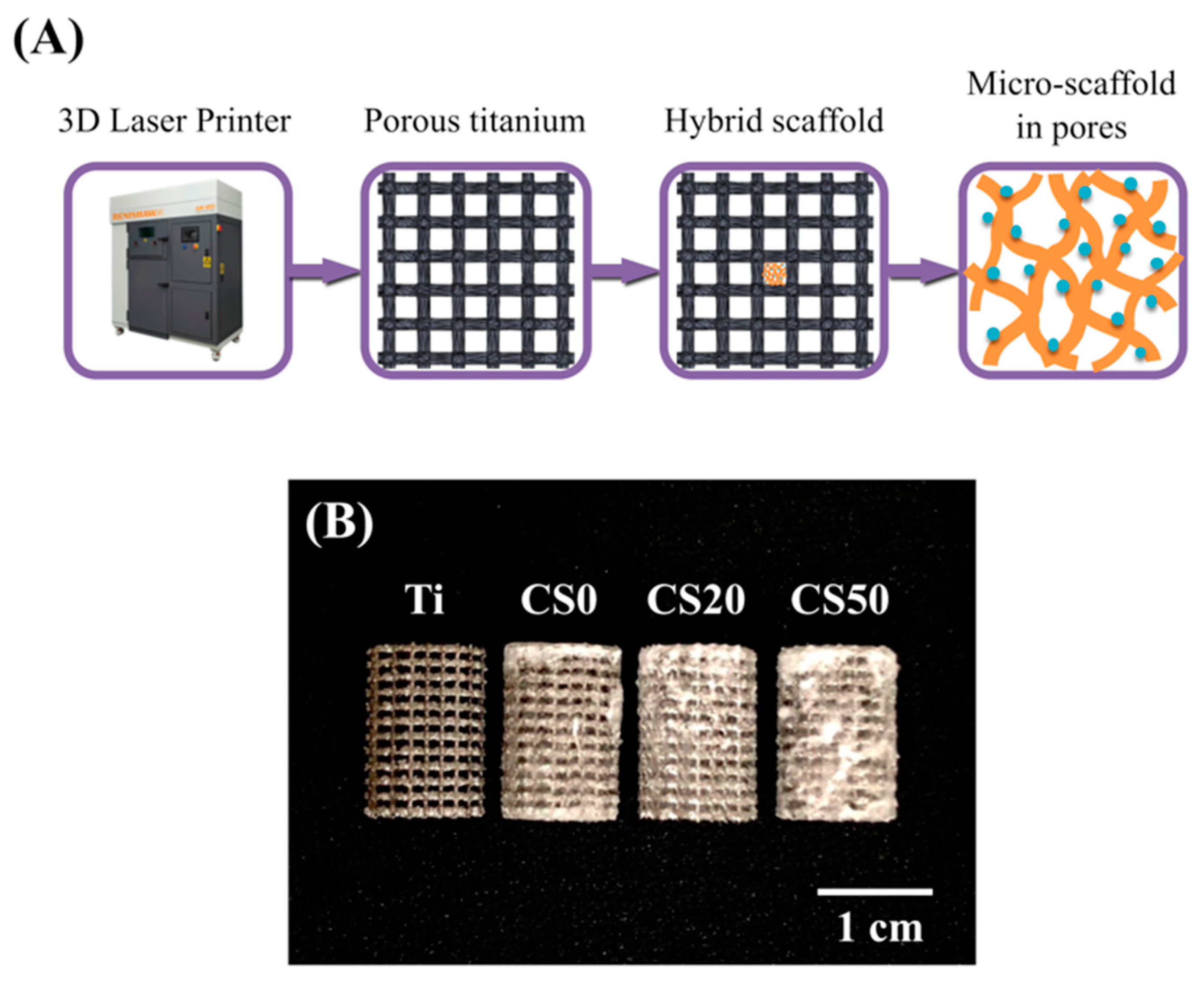 Materials 12 00203 g001