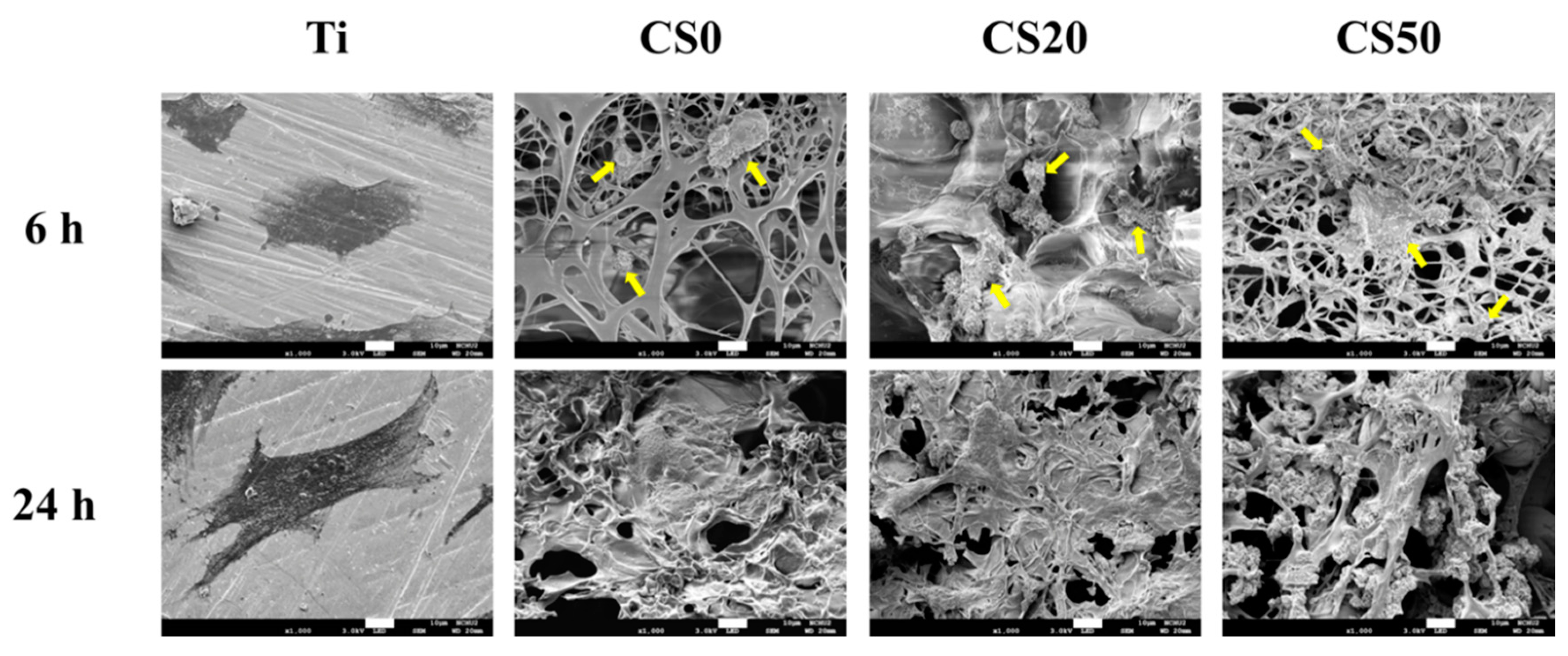 Materials 12 00203 g008