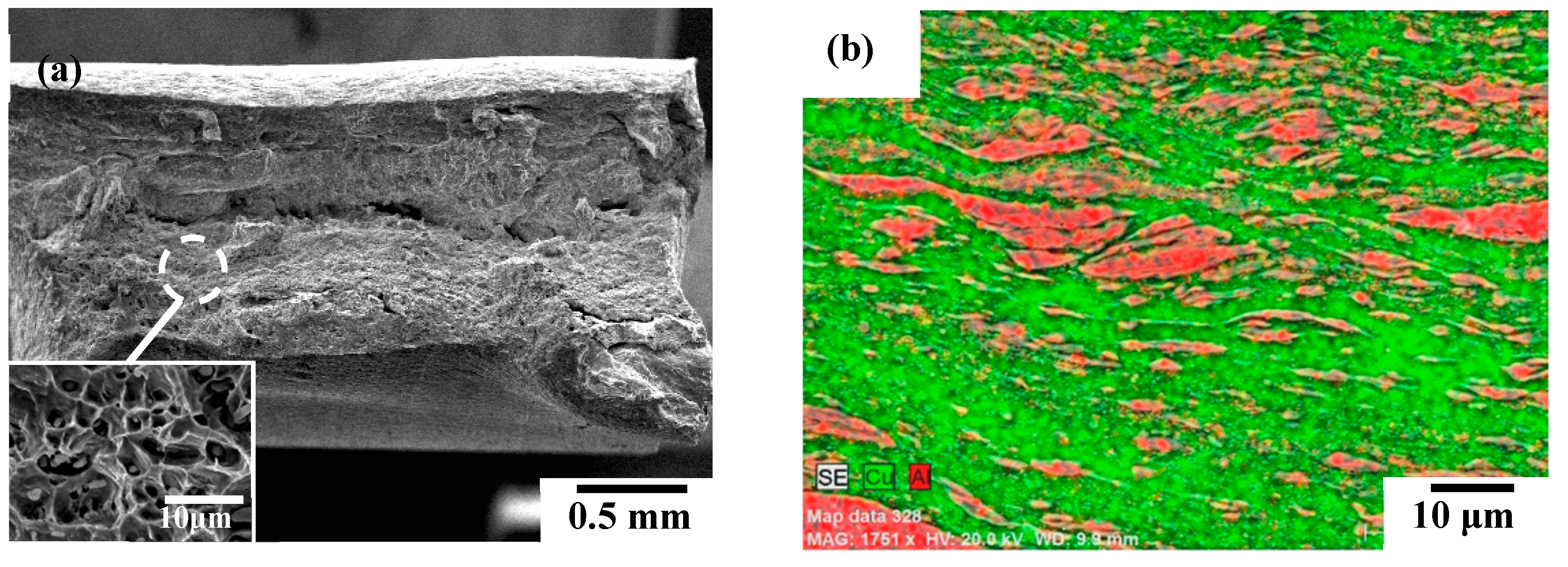 Materials 12 00205 g010