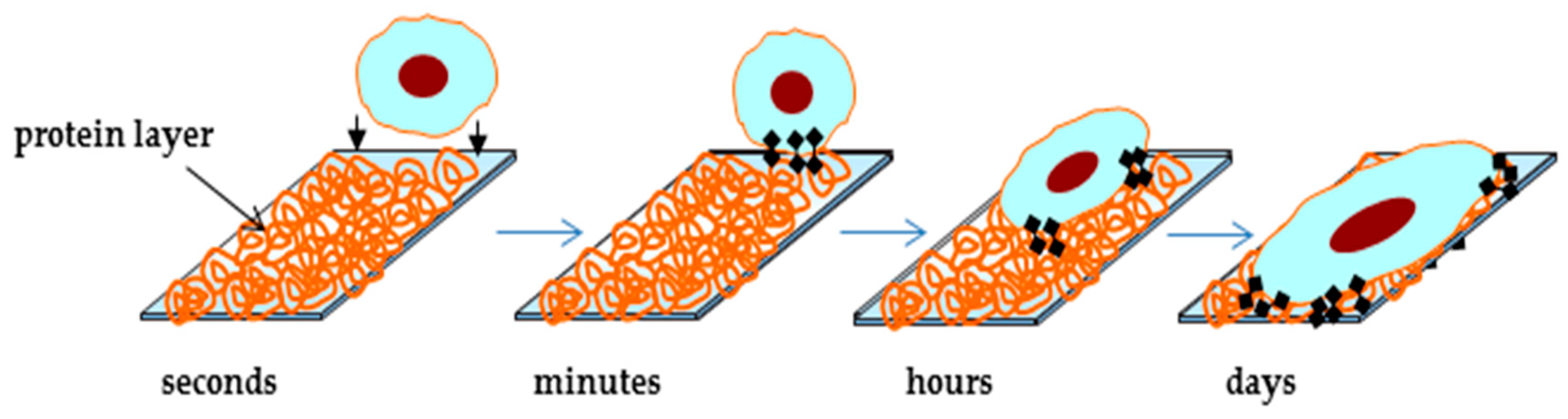 Materials 12 00240 g001