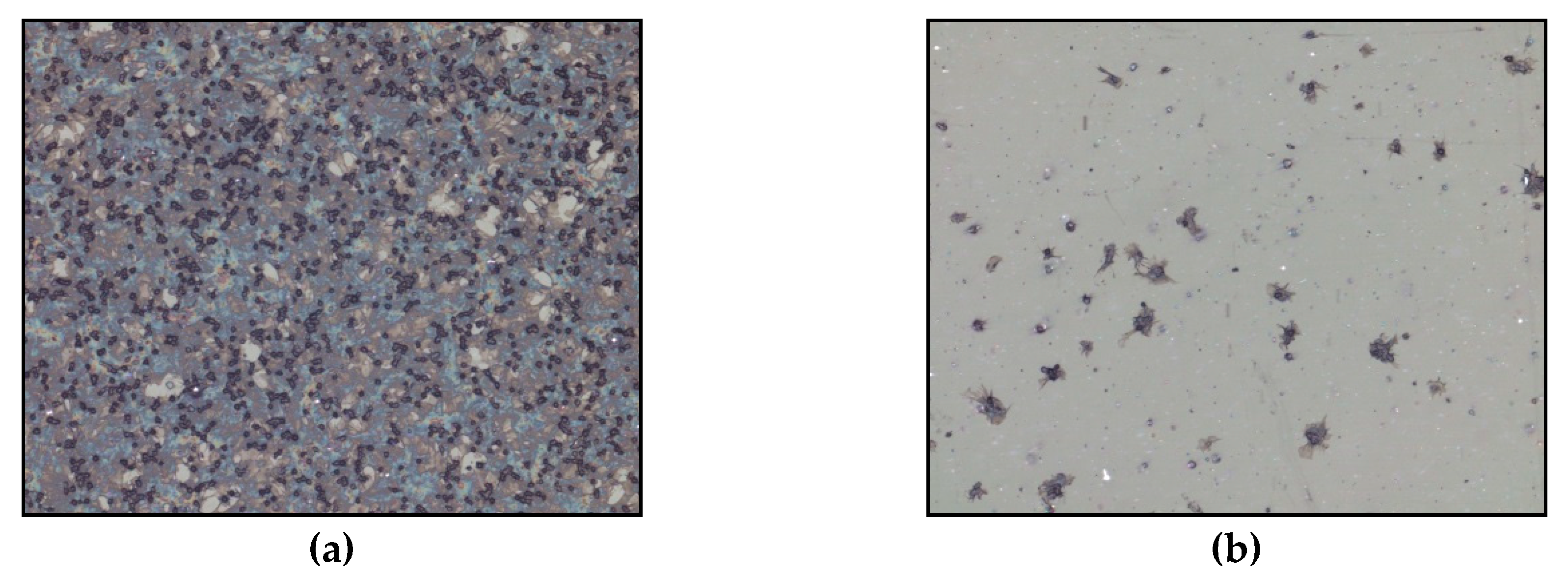 Materials 12 00240 g004