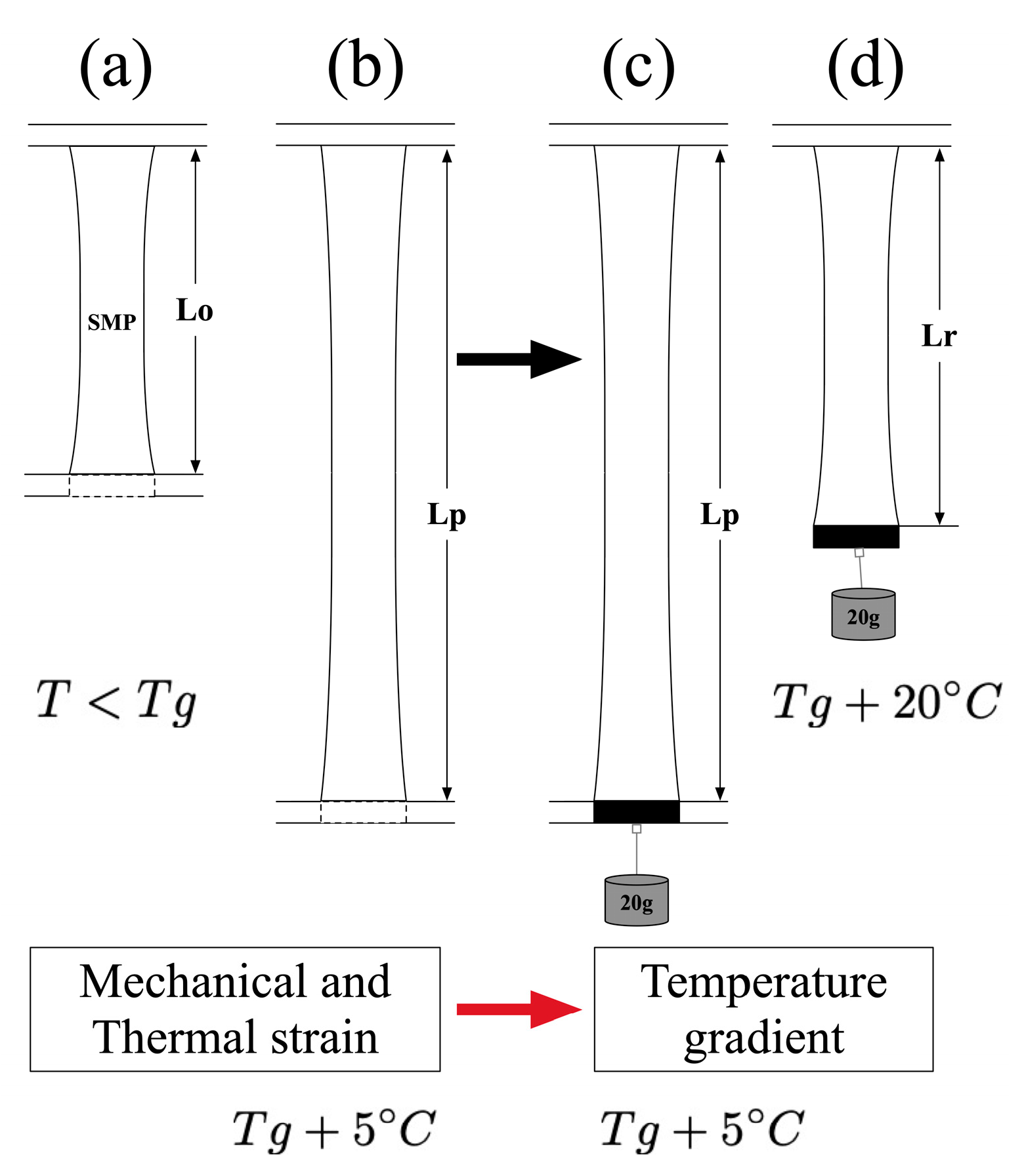 Materials 12 00244 g002