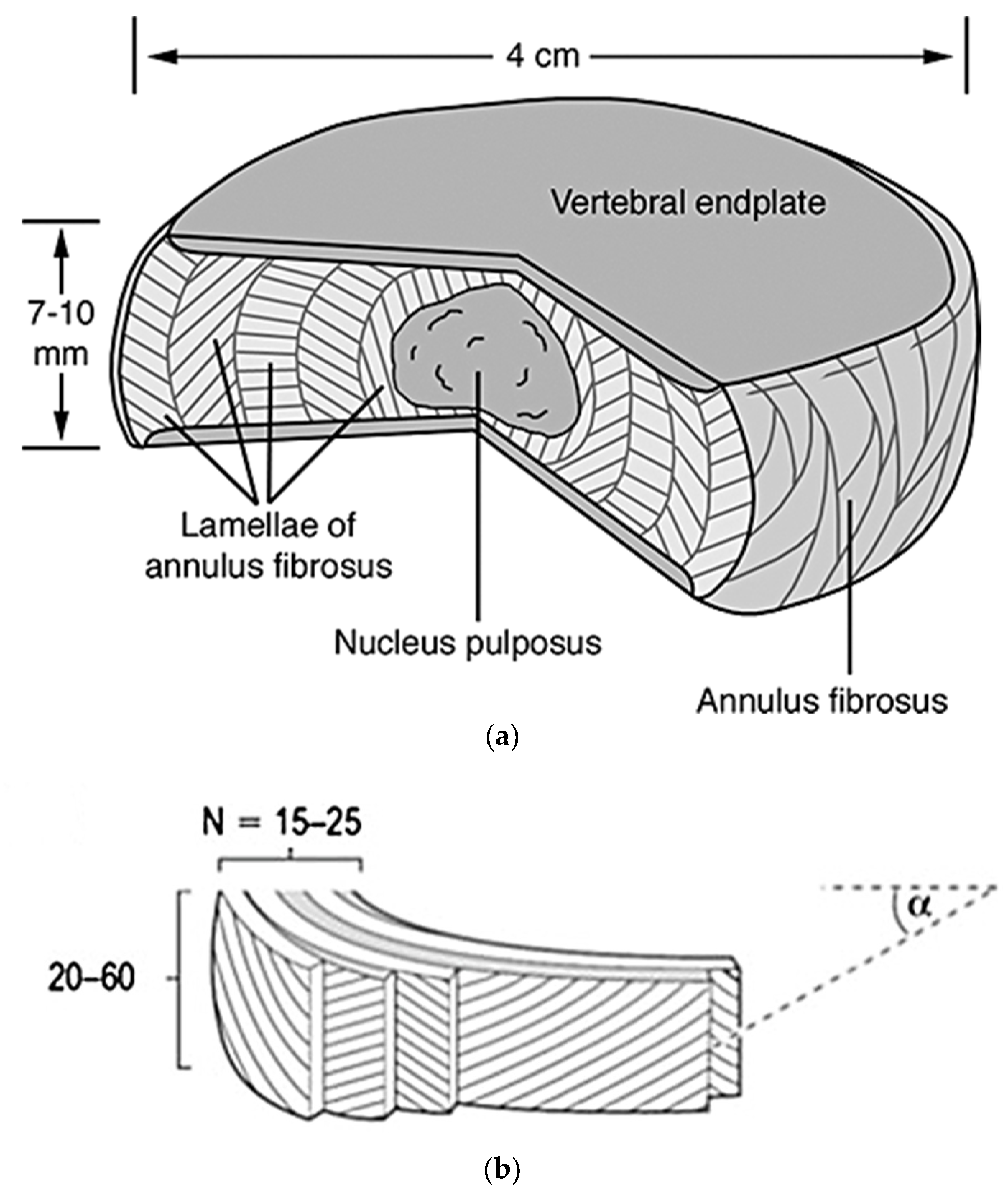 Materials 12 00253 g002