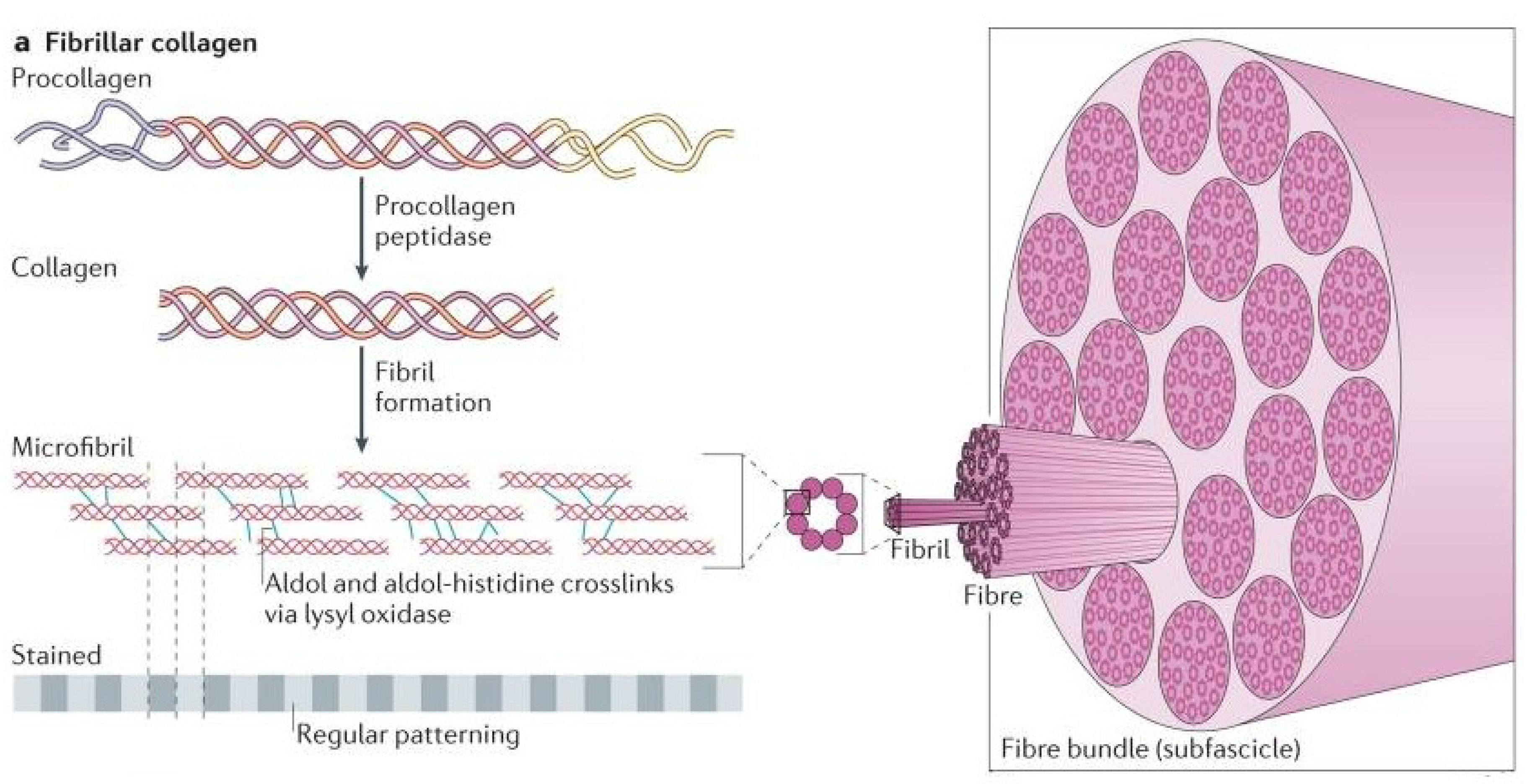 Materials 12 00253 g003