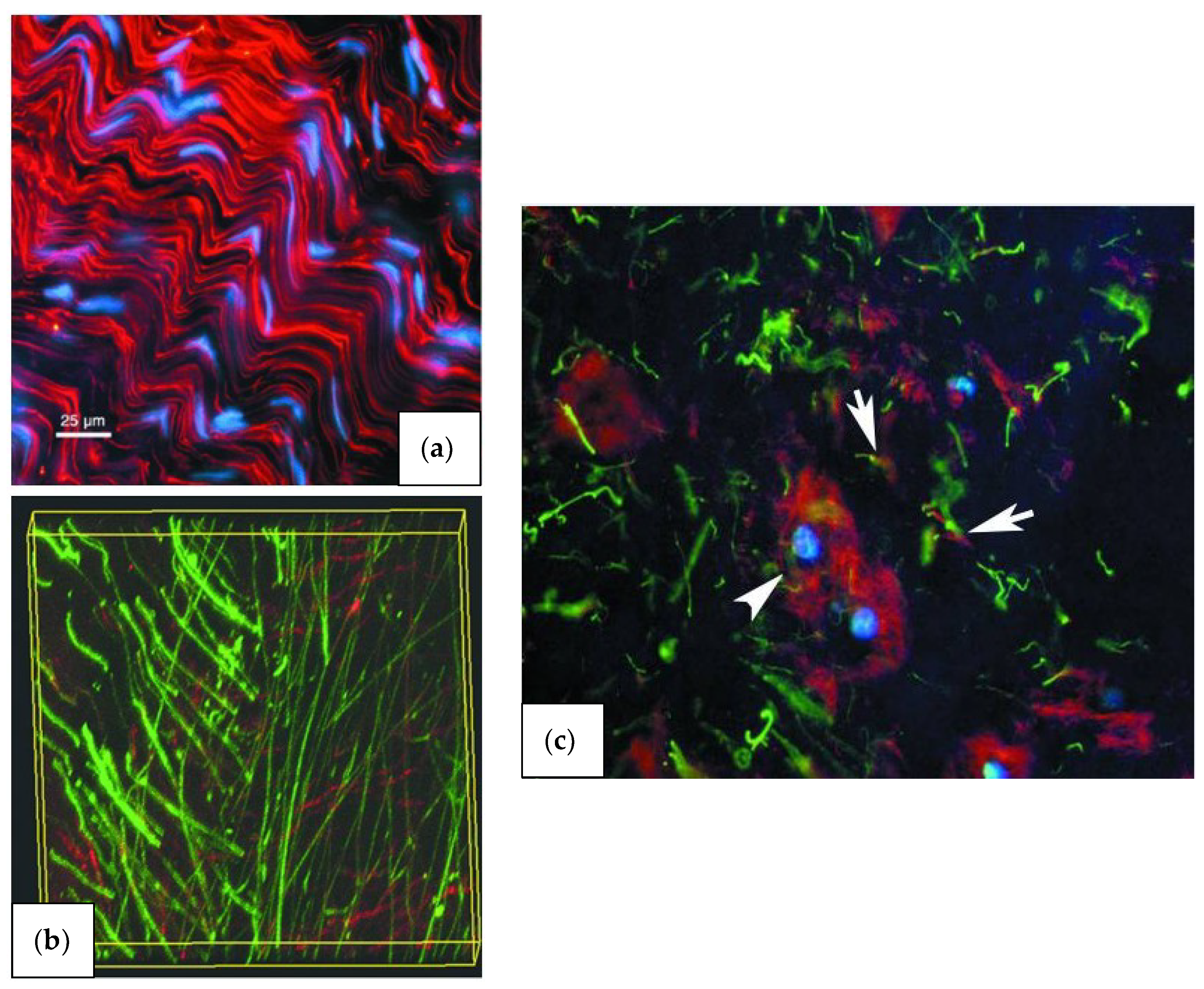 Materials 12 00253 g004