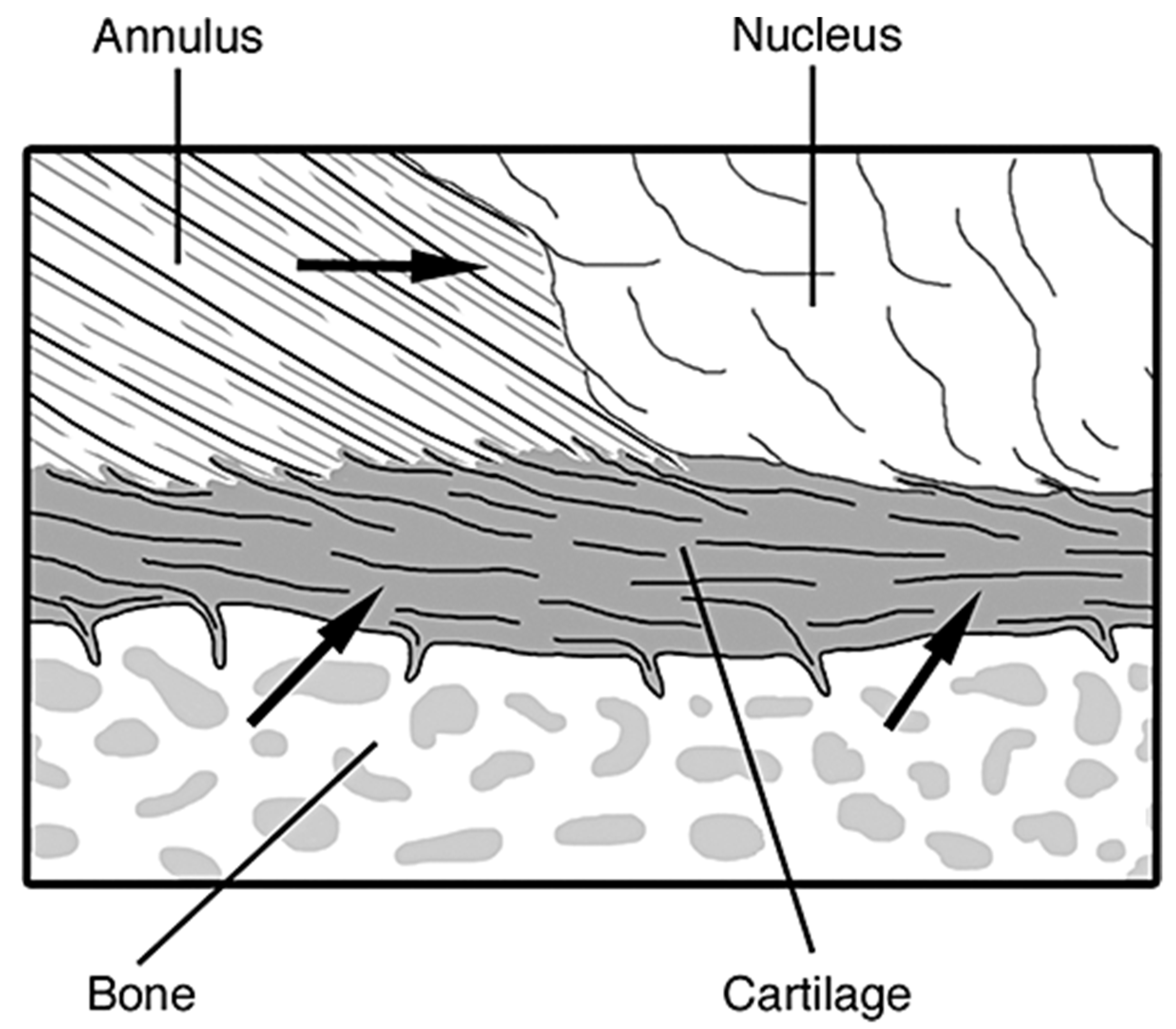 Materials 12 00253 g005