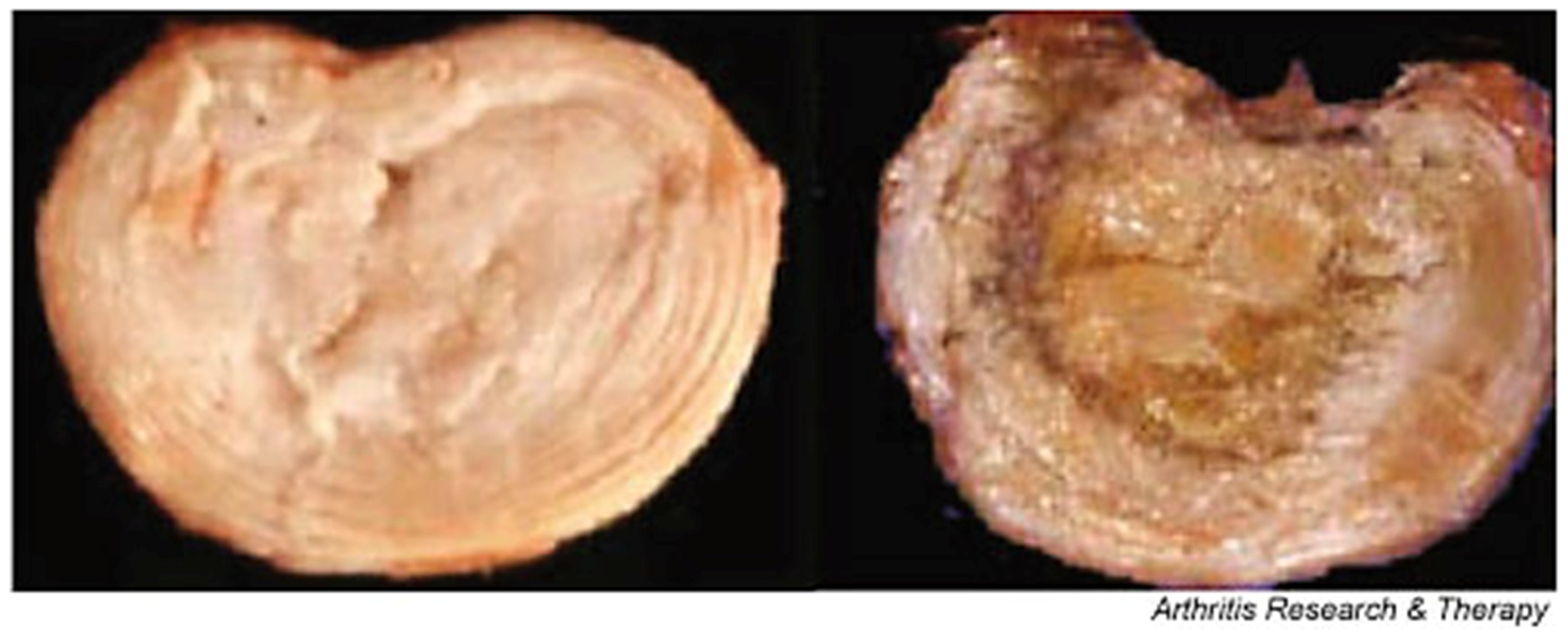 Materials 12 00253 g008