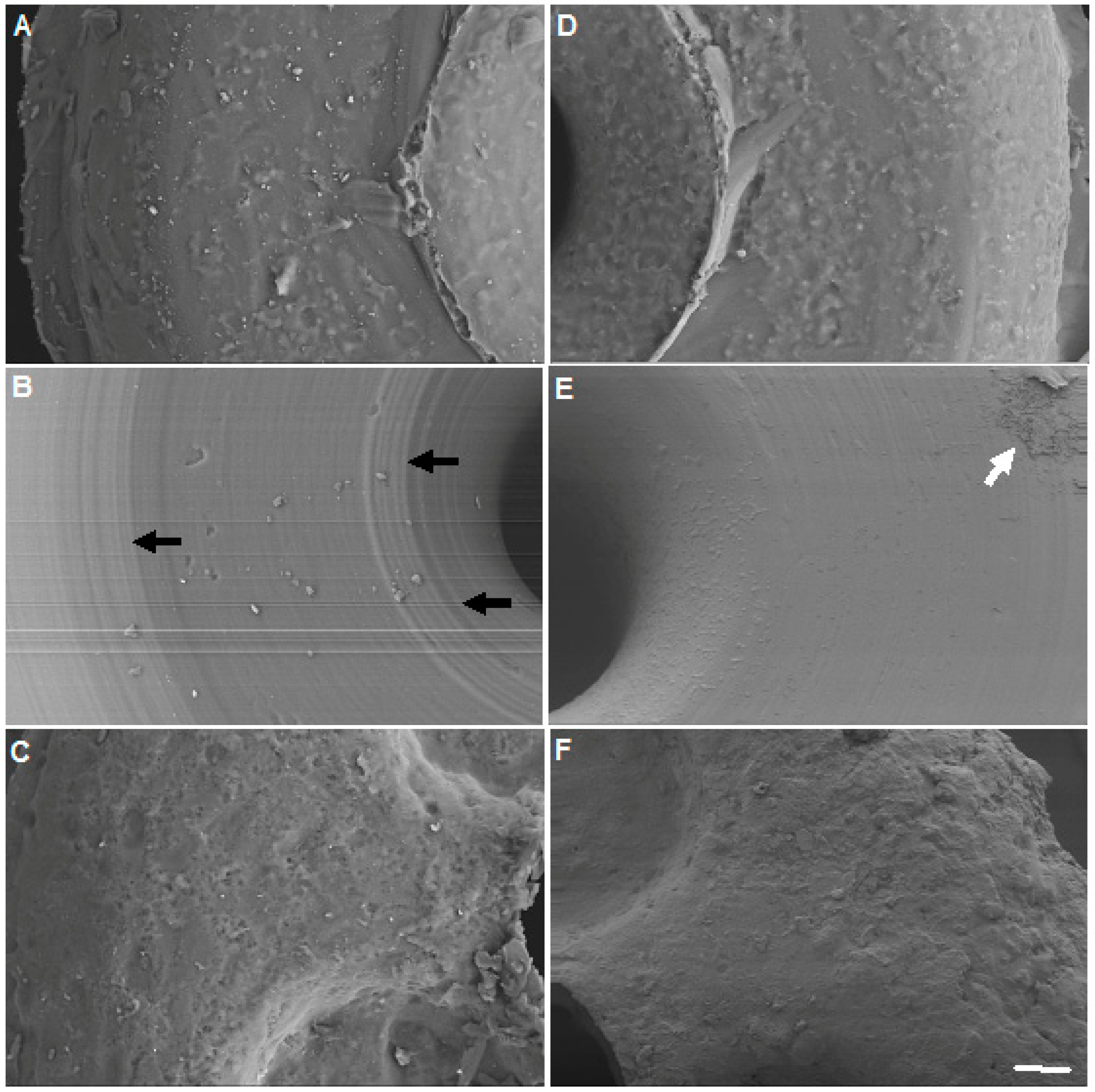 Materials 12 00274 g004
