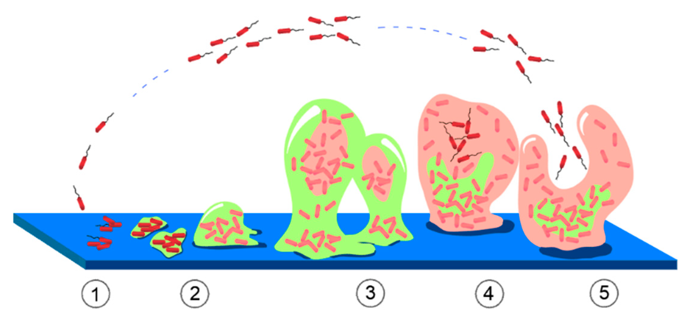 Materials 12 00277 g006 Materials 12 00277 g006
