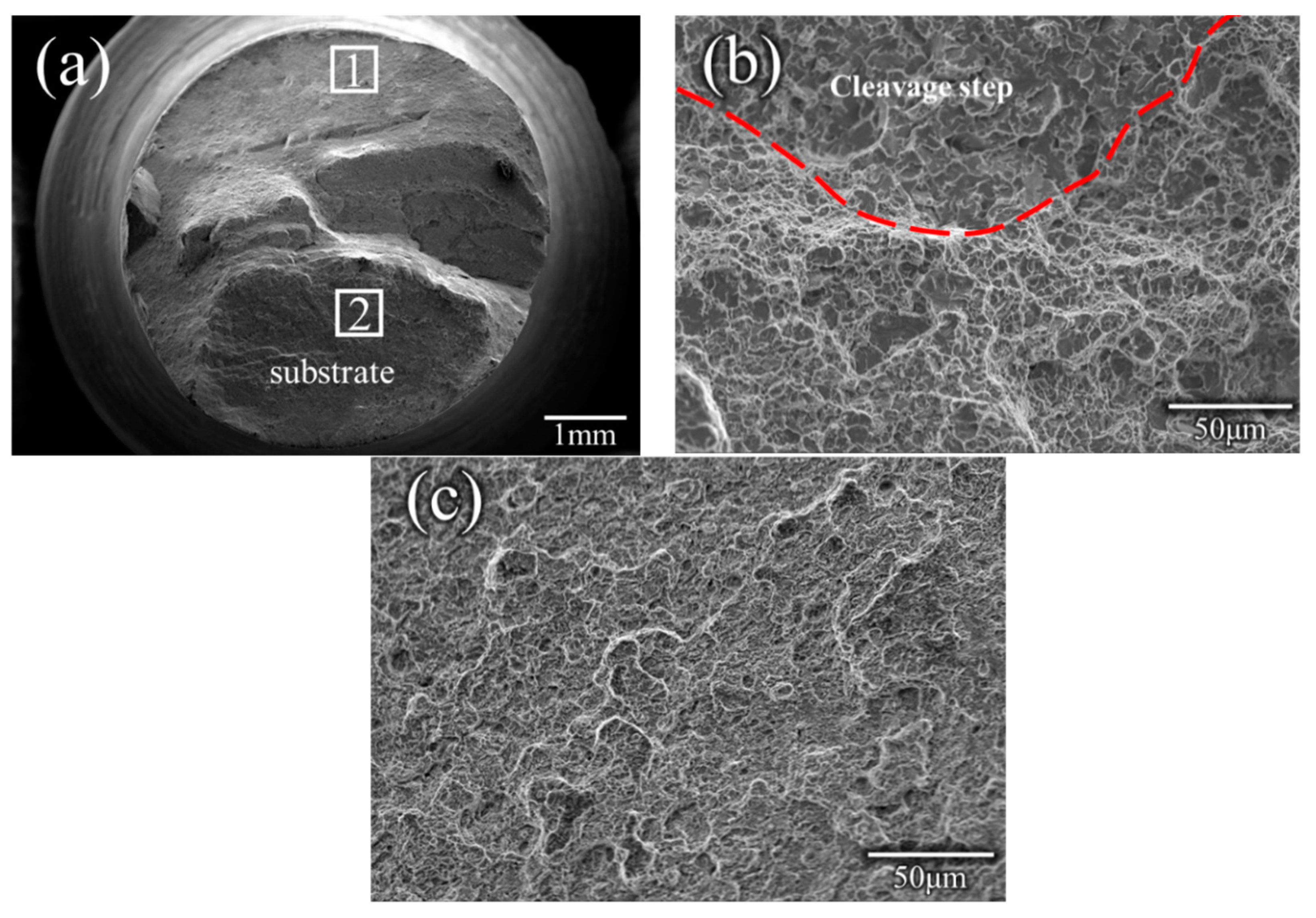Materials 12 00279 g011