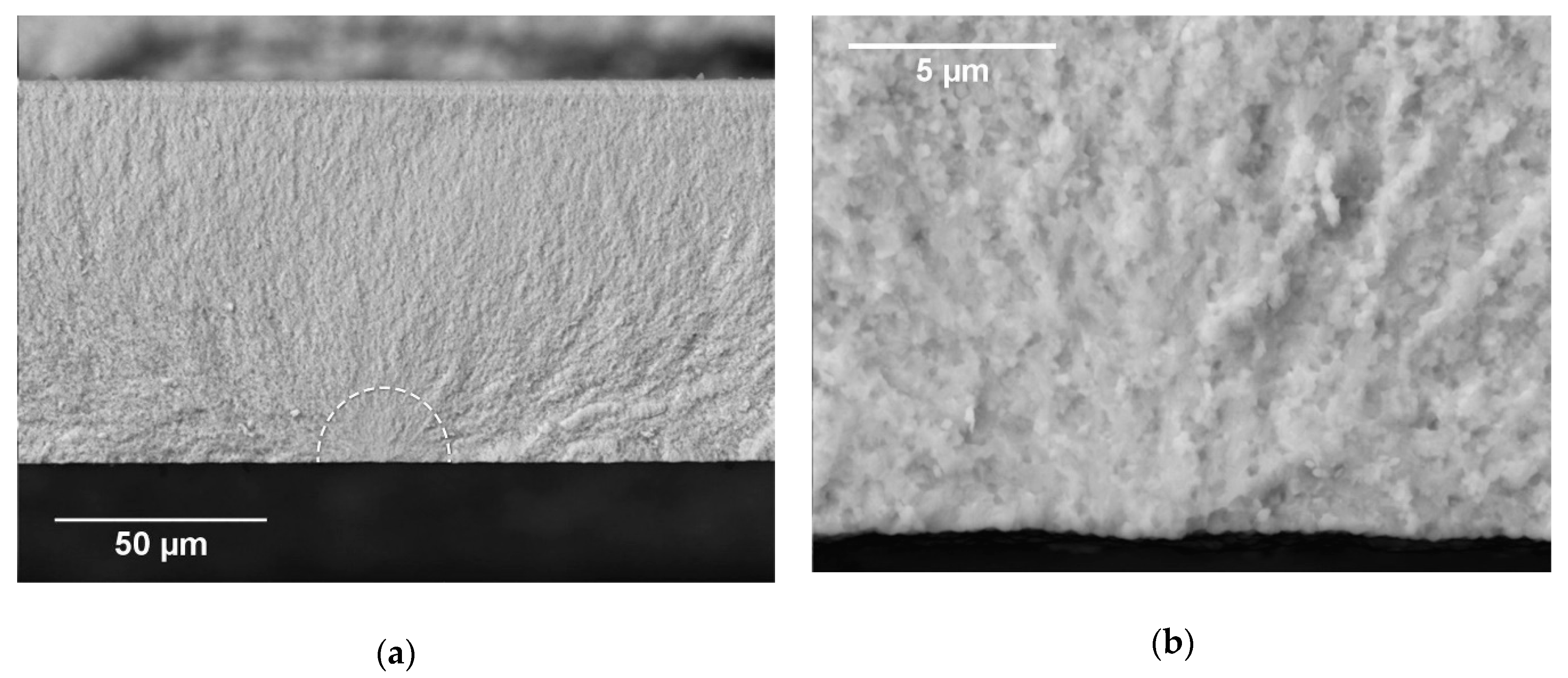 Materials 12 00306 g007