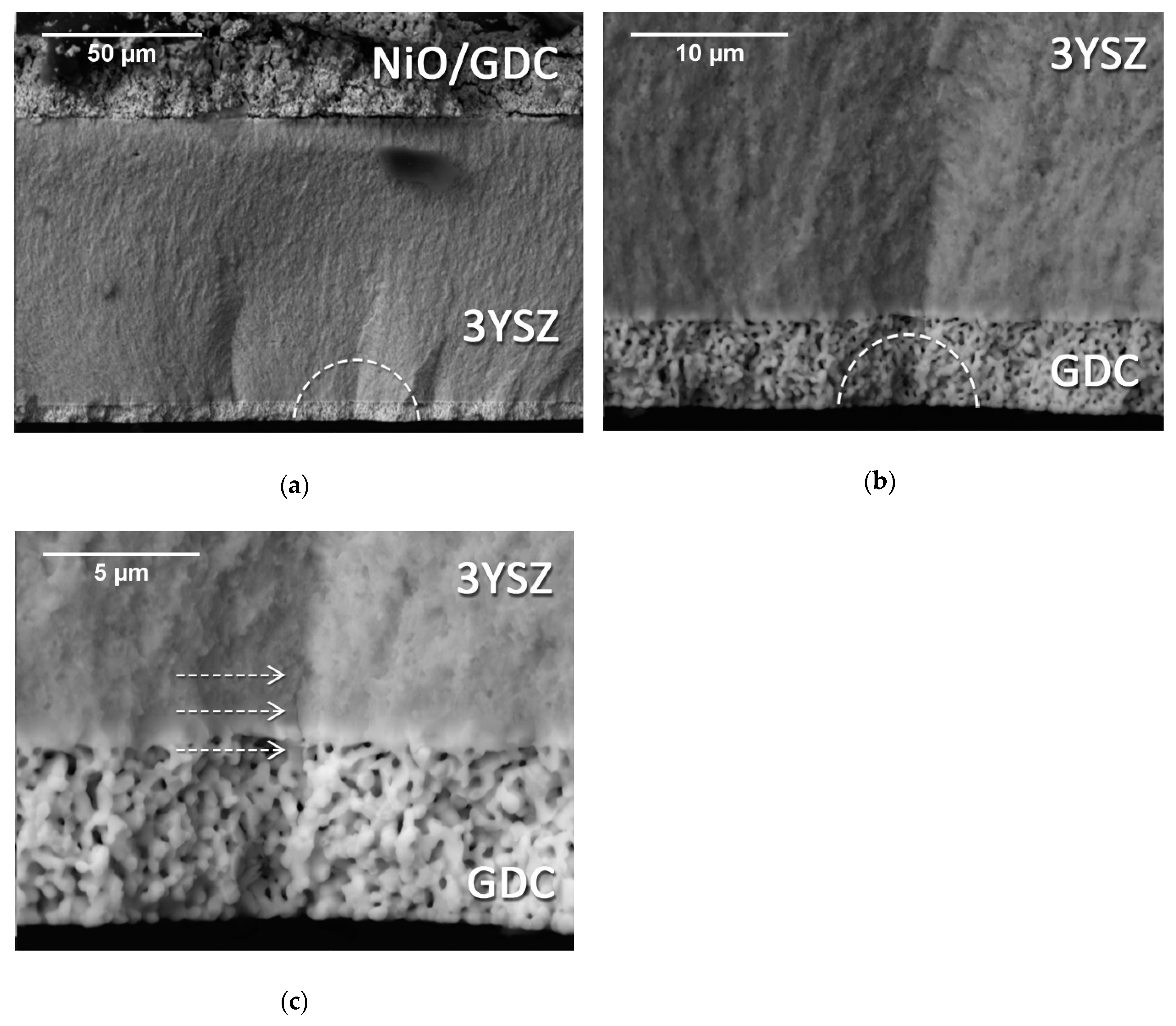 Materials 12 00306 g009