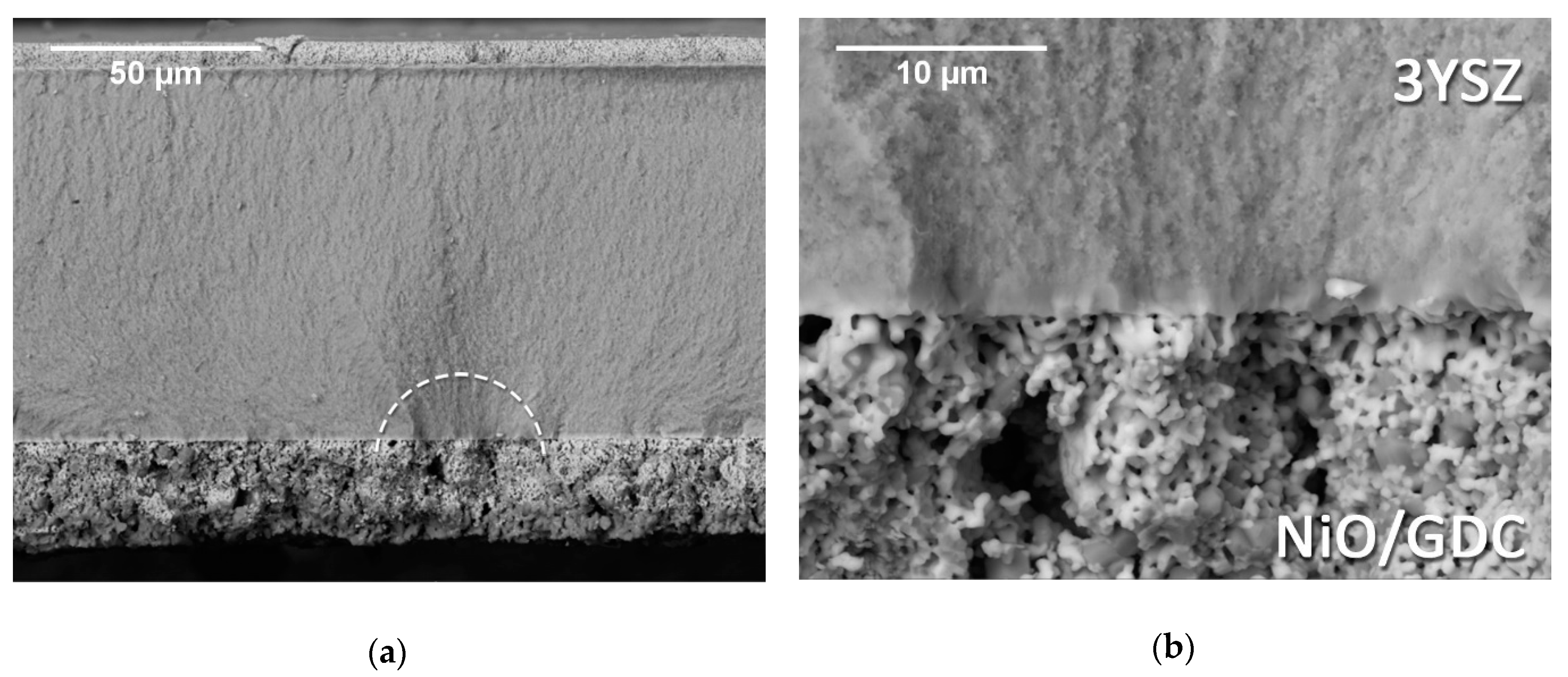 Materials 12 00306 g010