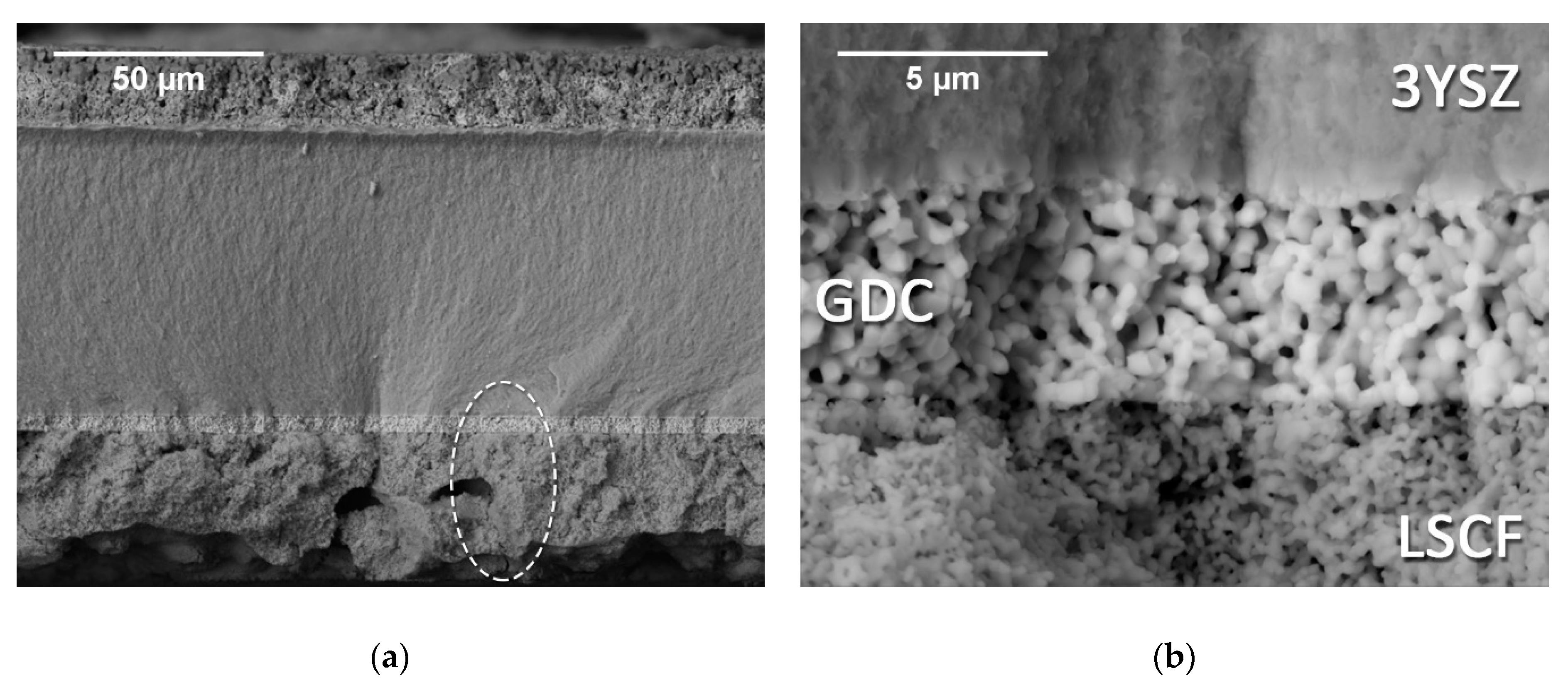 Materials 12 00306 g011