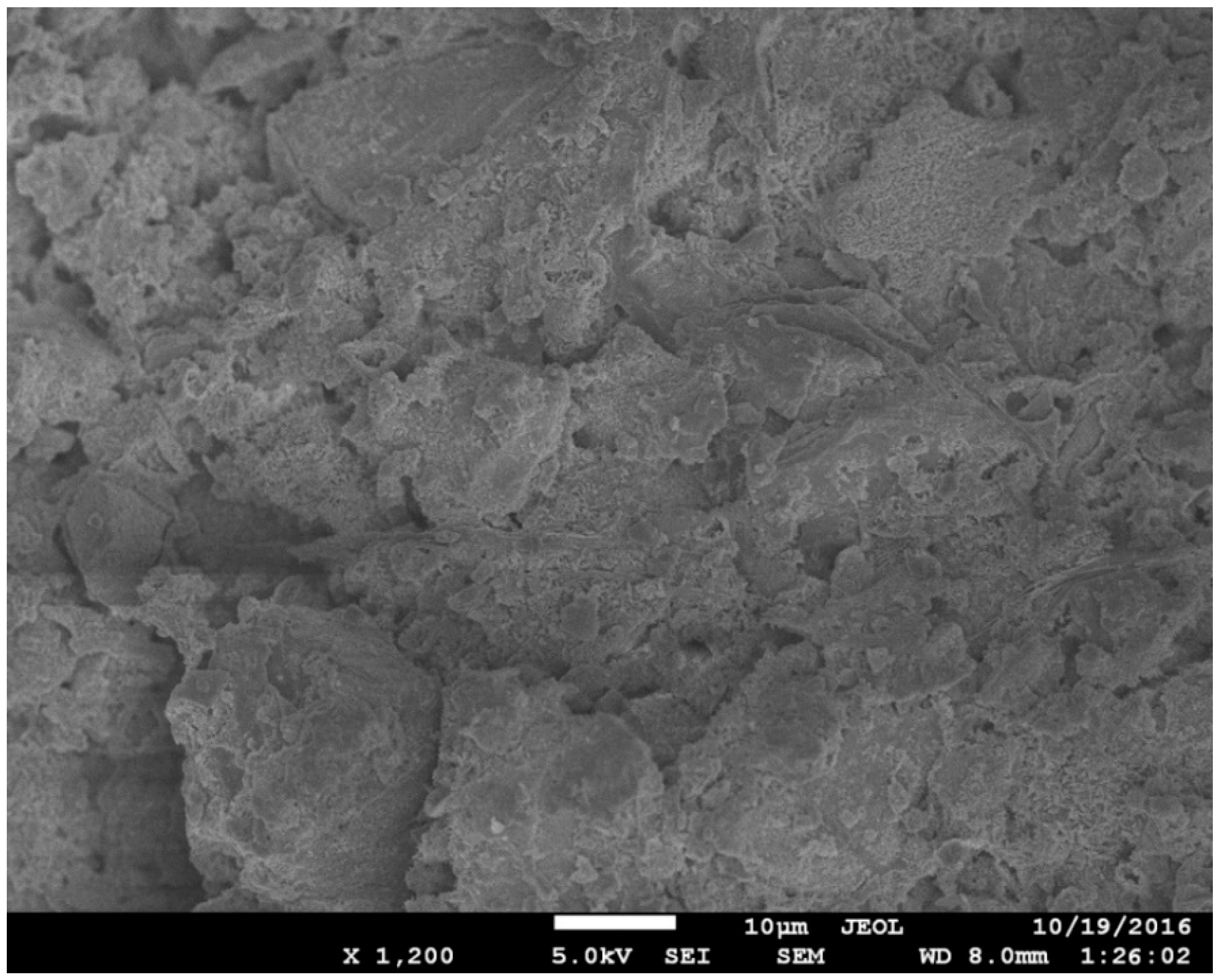 Materials 12 00320 g010 Materials 12 00320 g010
