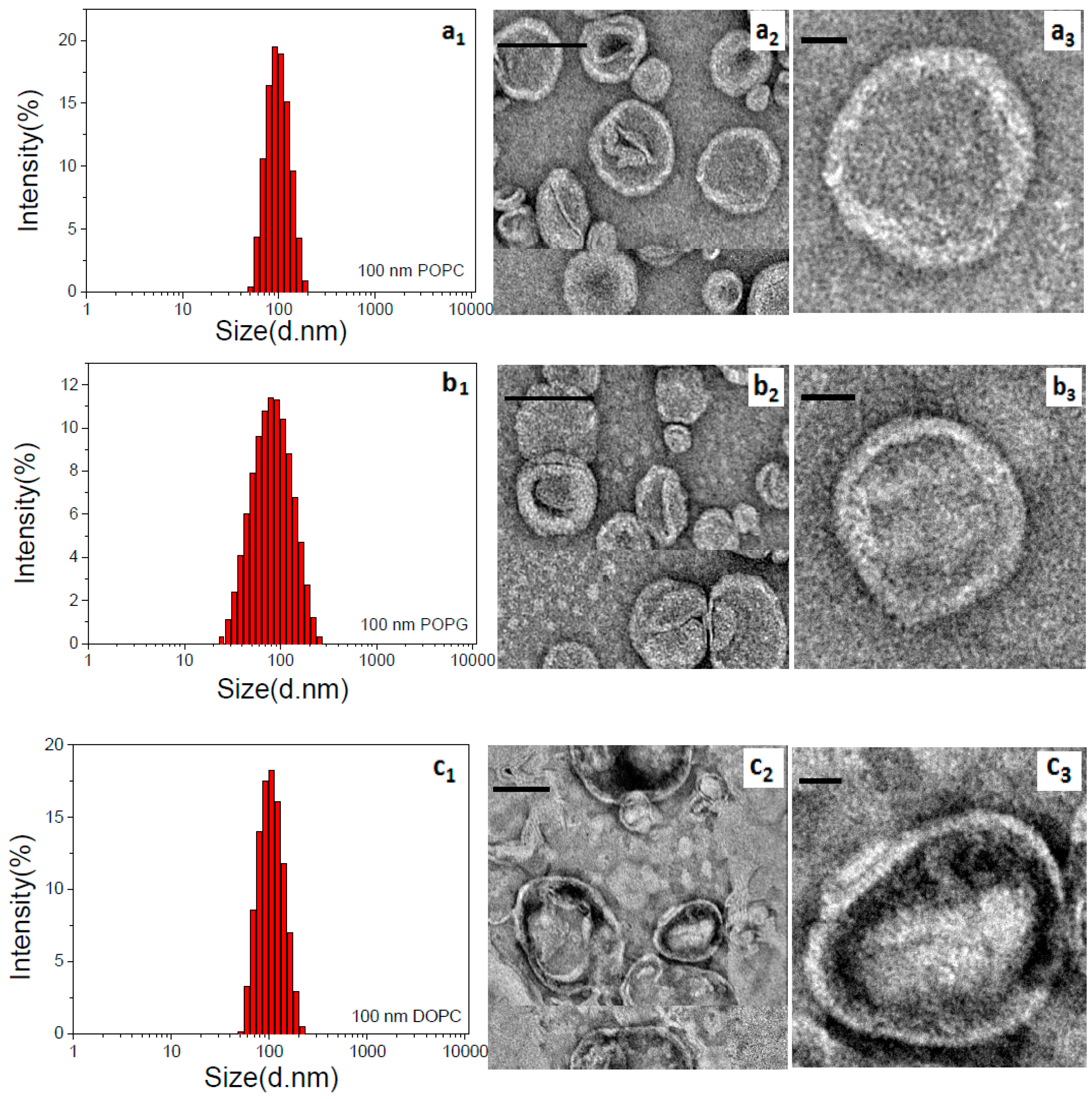 Materials 12 00349 g003