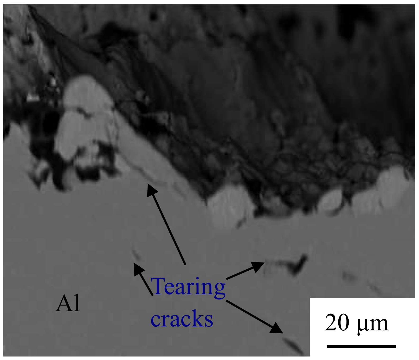 Materials 12 00369 g013