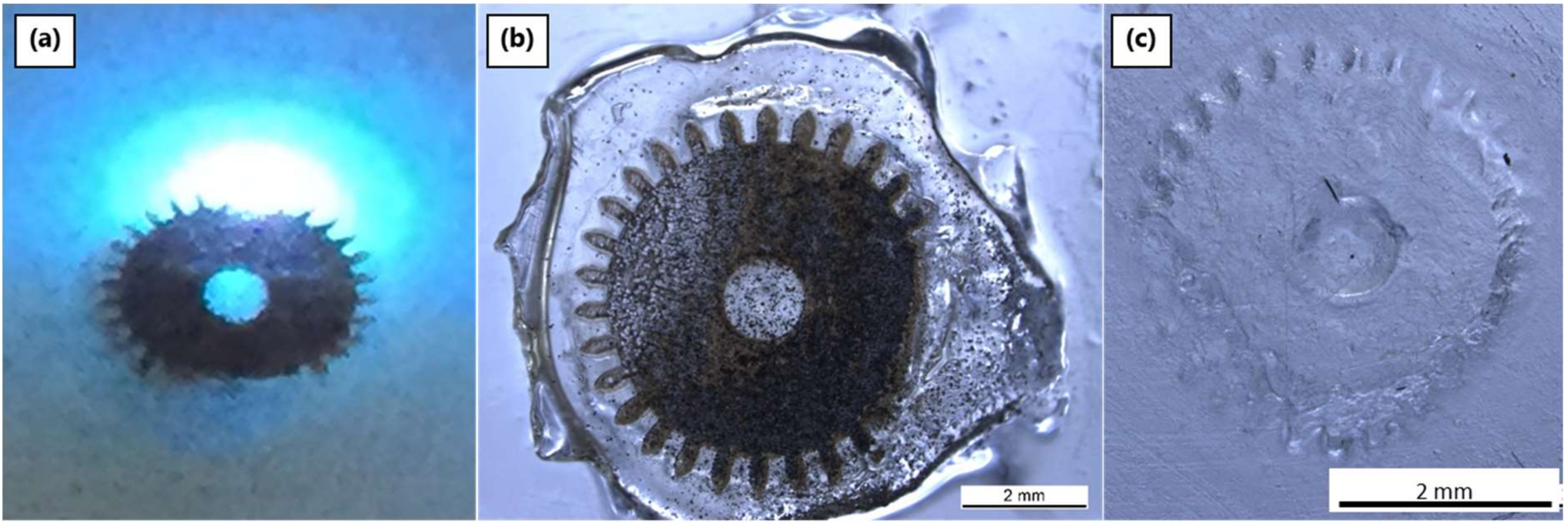 Materials 12 00372 g007