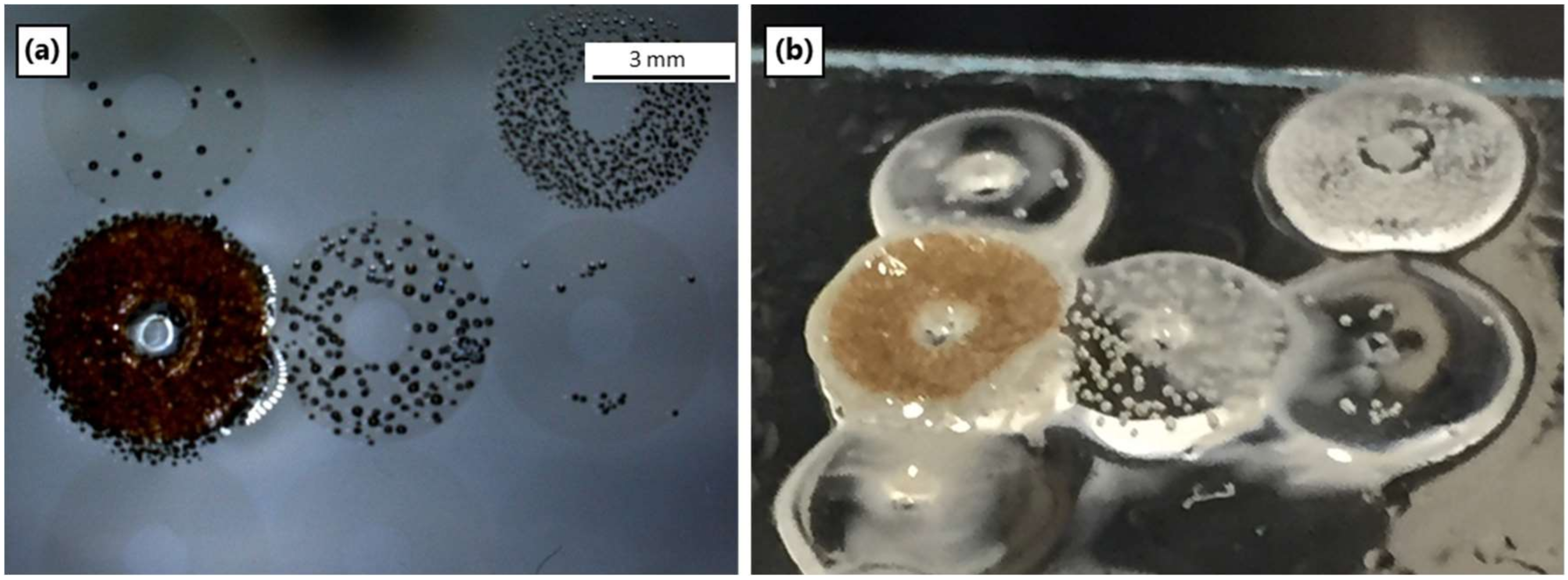 Materials 12 00372 g009