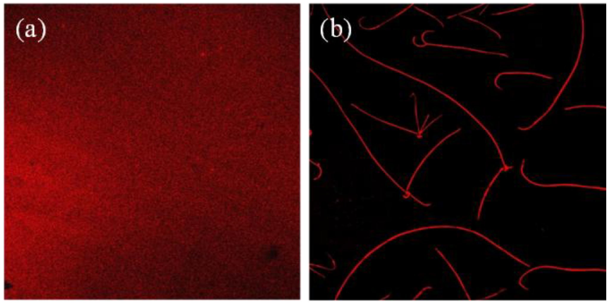 Materials 12 00438 g004